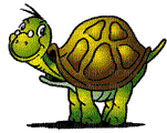 turtle schildkröte tortue garden jardin  animal spring summer tube deco gif anime animated animation - Free animated GIF