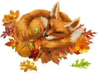 Fox - Autumn - png gratis