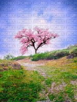 paysage printemps - zdarma png