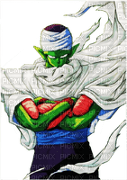 Piccolo in Frame - bezmaksas png