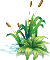 cecily-herbes roseaux - PNG gratuit