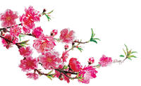 FLOWERS - Kostenlose animierte GIFs