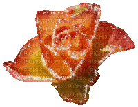 dulcineia8 rosas - GIF animado gratis