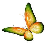 Butterfly- pages -2 - png ฟรี