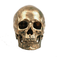 Gold Skull - Free PNG