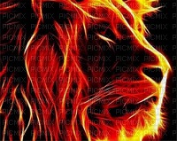 lion feu - png gratis