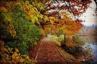 maisema landscape syksy autumn - bezmaksas png