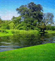 ani-natur-nature-landskapp - 無料のアニメーション GIF