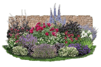 flower plant garden - фрее пнг