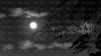 maj gif paysage nuit - Безплатен анимиран GIF