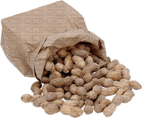 nuts bp - 免费PNG