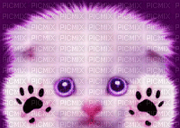 gatito - GIF animado gratis