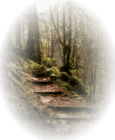 bosque - ücretsiz png
