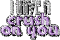 i have a crush on you
