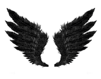 wings bp - Free PNG
