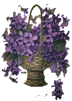 rose,flowers, purple, GIF, basket,Pelageya - Ücretsiz animasyonlu GIF