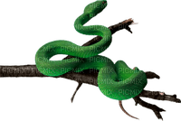 Kaz_Creations Snake - безплатен png
