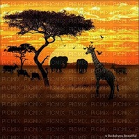 Africa background bp - png grátis