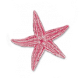 soave deco summer starfish pink