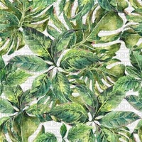Tropic Background - 免费PNG