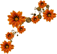 gala flowers - kostenlos png