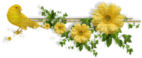 Flowers yellow bp - 無料png