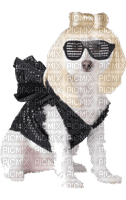 Kaz_Creations Dog Pup Dogs 🐶Costume - png ฟรี