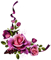 bordura Melly ruža - Free PNG