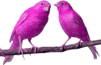 vogel bird lila - δωρεάν png