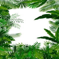 jungle frame by nataliplus - Free PNG