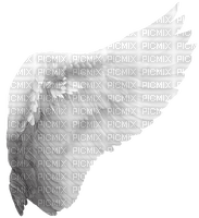 Angel Wing - ücretsiz png