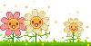 flower - Animovaný GIF zadarmo