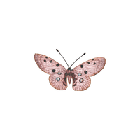 kikkapink deco scrap pink butterfly - 無料png