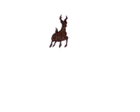 animal - Безплатен анимиран GIF