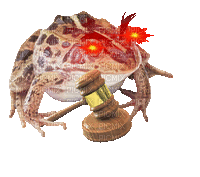 judge froggy with fast flashing eyes - GIF animado gratis