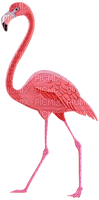 Kaz_Creations Birds Bird Flamingo