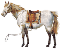 Western.Horse.Cheval.Caballo.Victoriabea - png gratis