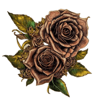 kikkapink steampunk sepia rose brown - PNG gratuit
