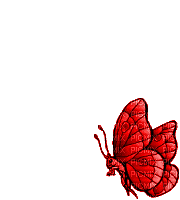 papillon rouge red butterfly  gif - GIF animado grátis