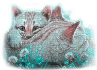 Y.A.M._Animals cats - PNG gratuit