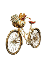 Bicycle - PNG gratuit