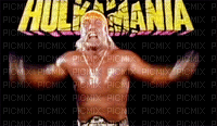 Hulk Hogan - GIF animasi gratis