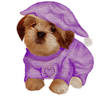 Dog Chien Puppy - Free PNG
