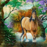 pferd horse milla1959 - Ücretsiz animasyonlu GIF