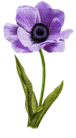 Flor de color lila - besplatni png