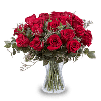 valentine valentin fleur flower red rose