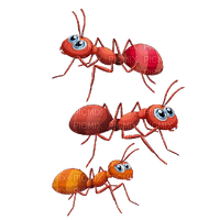 Kaz_Creations Cartoon Red Ants - PNG gratuit
