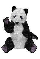 PANDA - Kostenlose animierte GIFs
