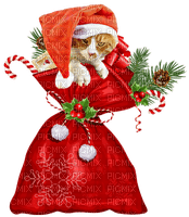 Kaz_Creations Christmas-Sack-Cat - bezmaksas png
