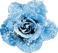 Animated.Rose.Blue - By KittyKatLuv65 - GIF เคลื่อนไหวฟรี